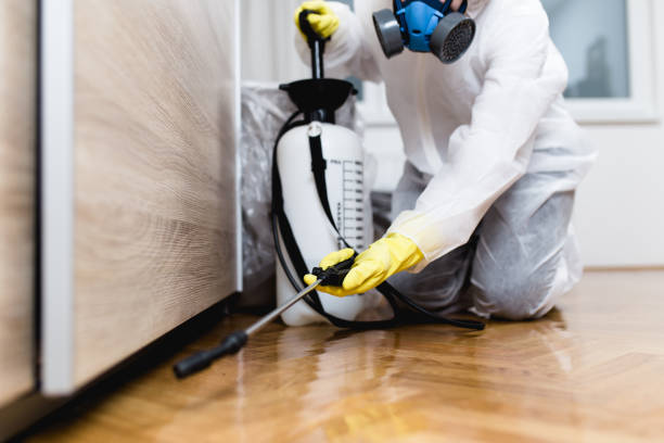 Best Pest Control Near Me  in Wildwood, NJ