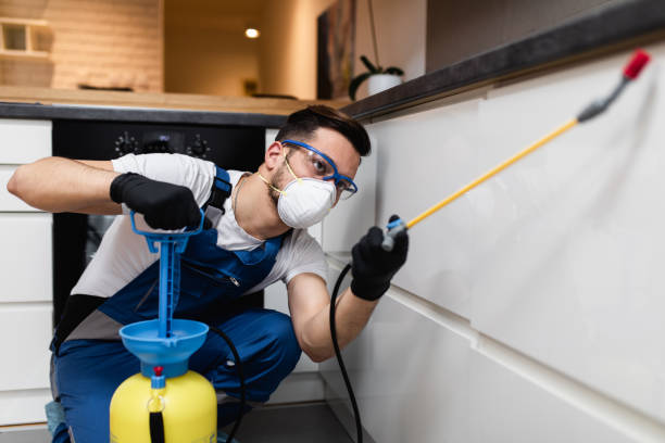Best Residential Pest Control  in Wildwood, NJ