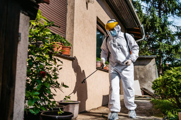 Best Mosquito Control Services  in Wildwood, NJ