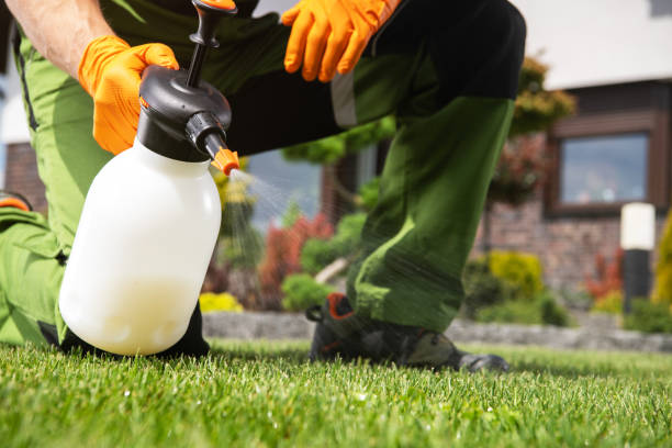 Best Wasp Removal Services  in Wildwood, NJ