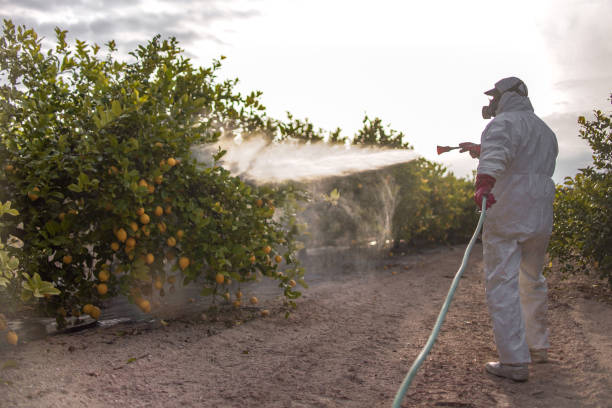 Best Wildlife Control Services  in Wildwood, NJ