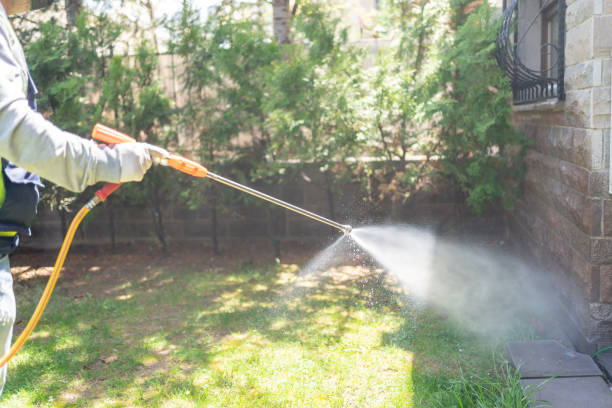 Insect Control in Wildwood, NJ