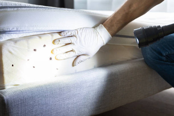 Best Pest Removal Services  in Wildwood, NJ